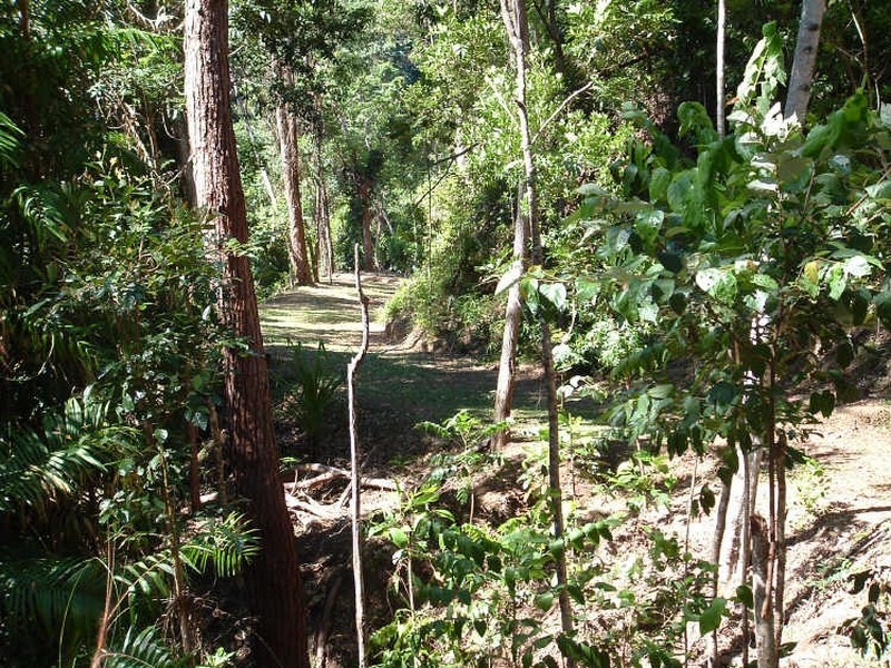 Cape Tribulation QLD 4873