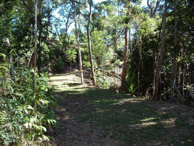 Cape Tribulation QLD 4873