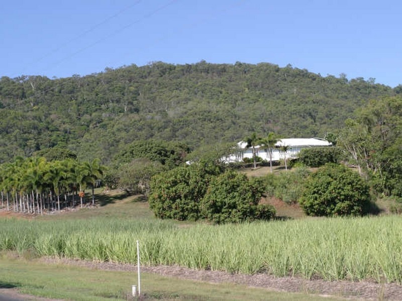 Port Douglas QLD 4877