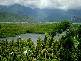 Port Douglas QLD 4877