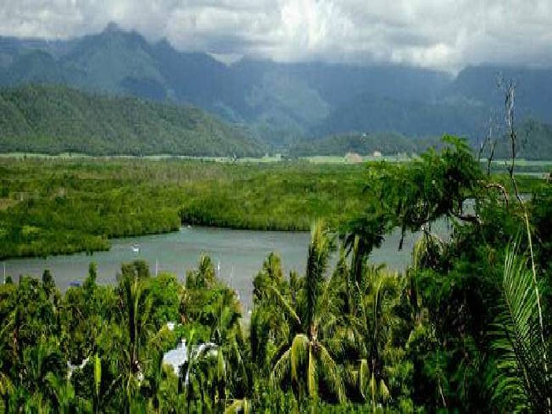Port Douglas QLD 4877
