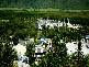 Port Douglas QLD 4877