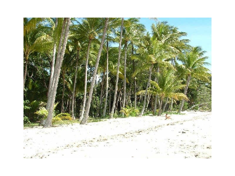 Port Douglas QLD 4877