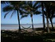 Cape Tribulation QLD 4873