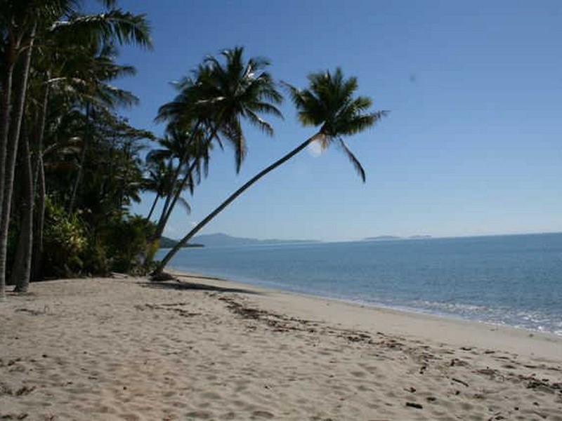 Cape Tribulation QLD 4873