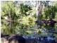 Oak Beach QLD 4877