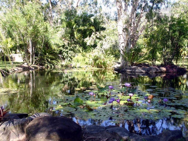 Oak Beach QLD 4877