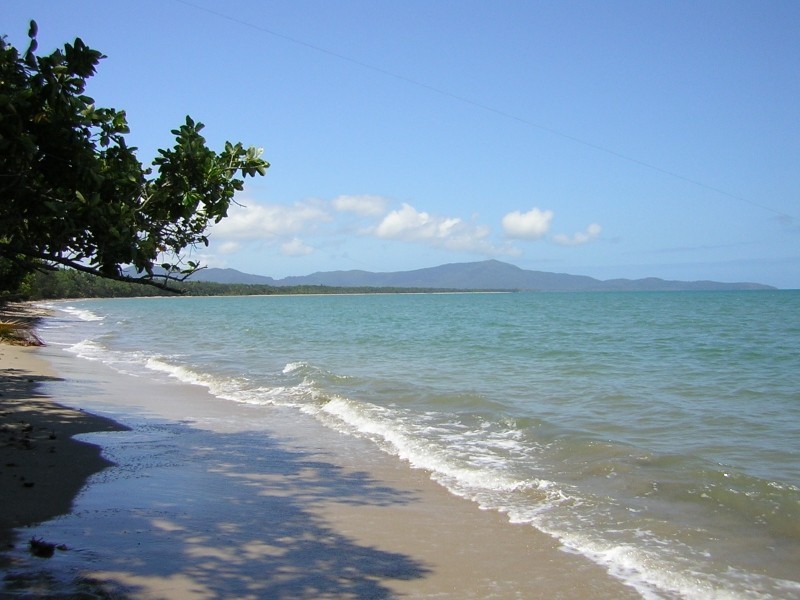 Cape Tribulation QLD 4873
