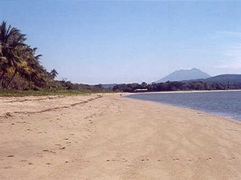Cape Tribulation QLD 4873