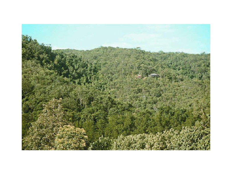 Cloud 9, Mossman-Daintree Village Road, Port Douglas QLD 4877