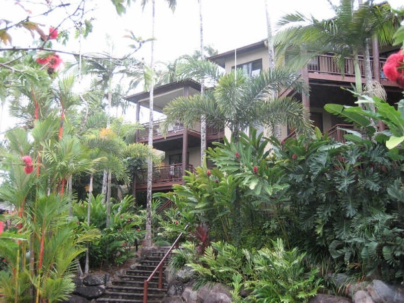 Unit 5 The Point Murphy Street, Port Douglas QLD 4877