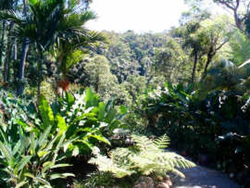 Port Douglas QLD 4877