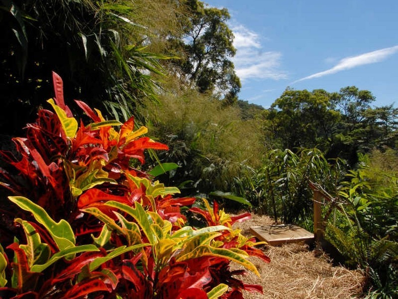 Port Douglas QLD 4877