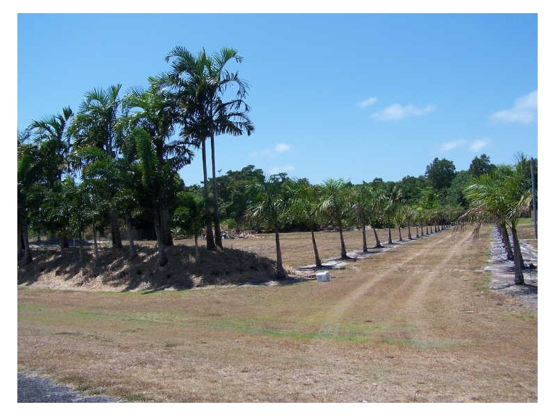 Port Douglas QLD 4877