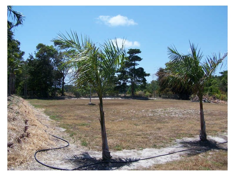 Port Douglas QLD 4877