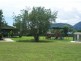 20 Sandpiper Street, Port Douglas QLD 4877