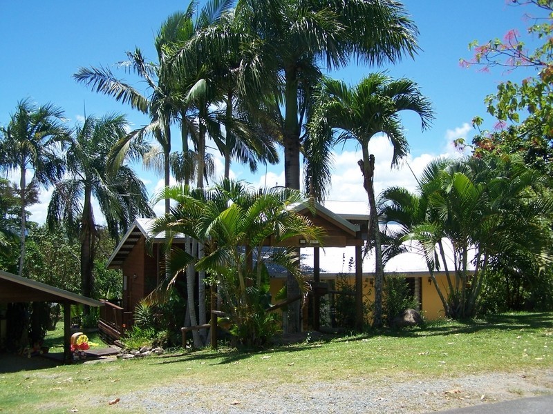 15 Orchid Avenue, Cape Tribulation QLD 4873