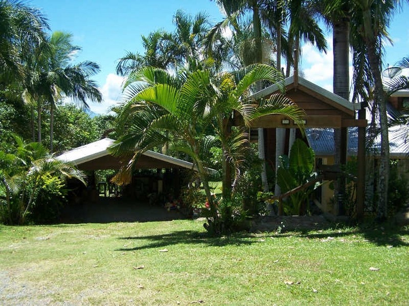 15 Orchid Avenue, Cape Tribulation QLD 4873