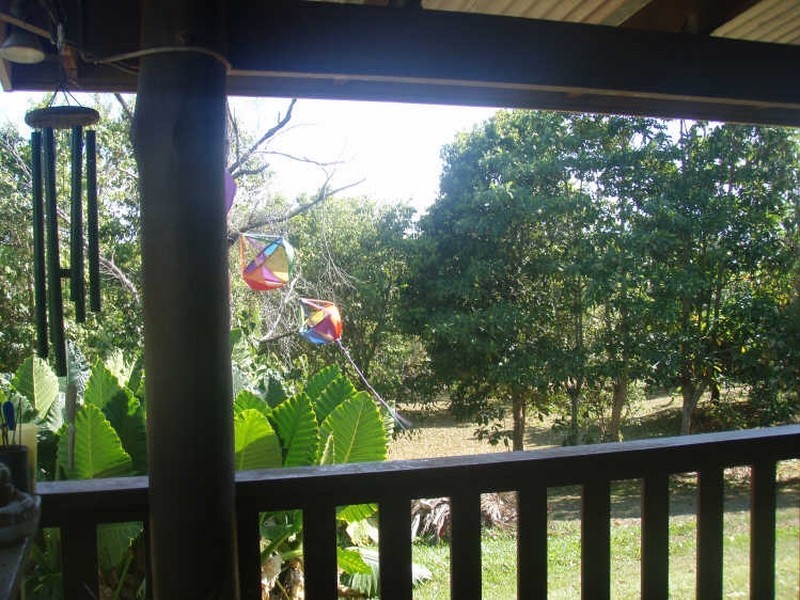 15 Orchid Avenue, Cape Tribulation QLD 4873