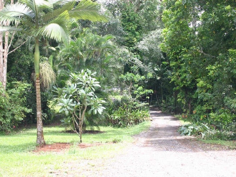 Daintree QLD 4873