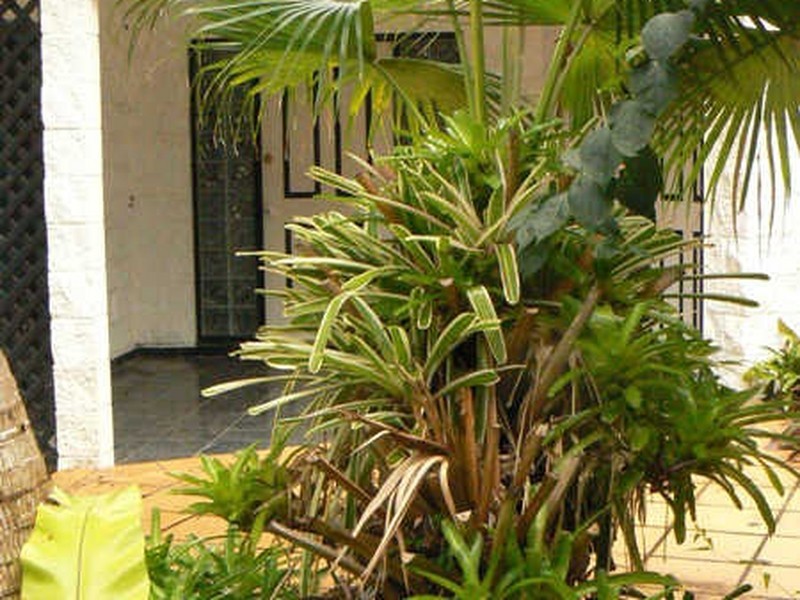 Cooya Beach QLD 4873