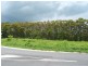 Cooya Beach QLD 4873