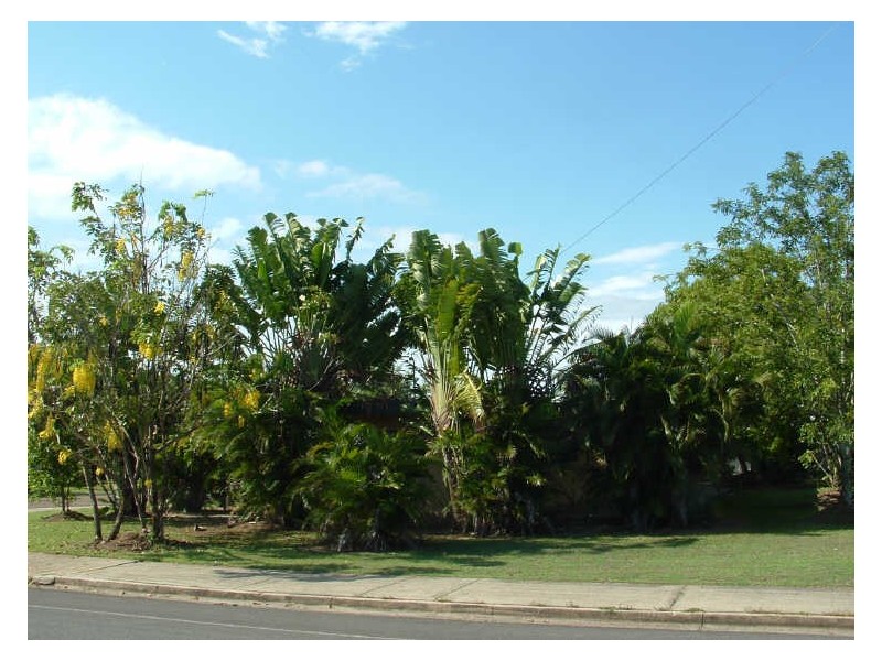 Cape Tribulation QLD 4873