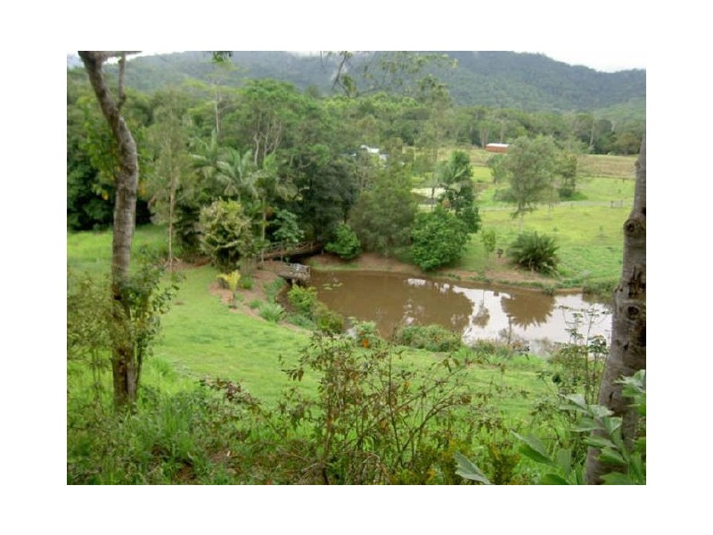 The Highlander, Julatten QLD 4871