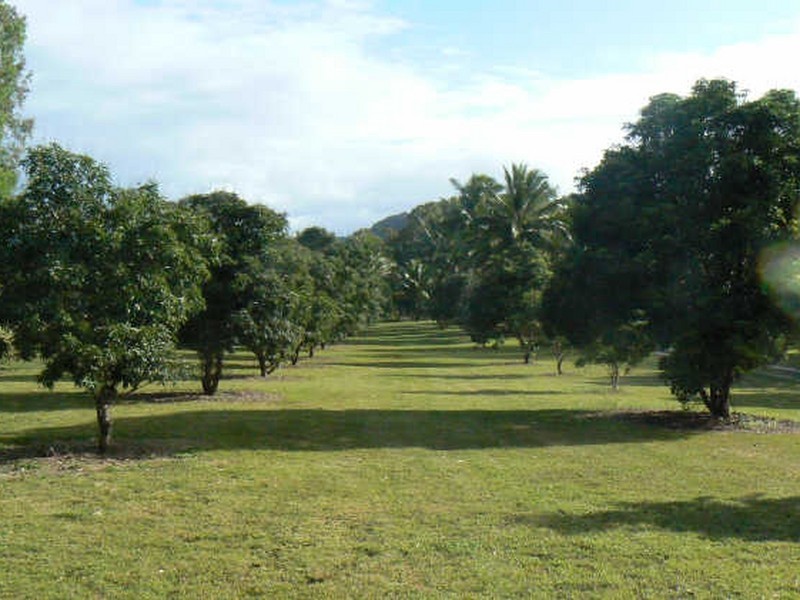 Wonga Beach QLD 4873
