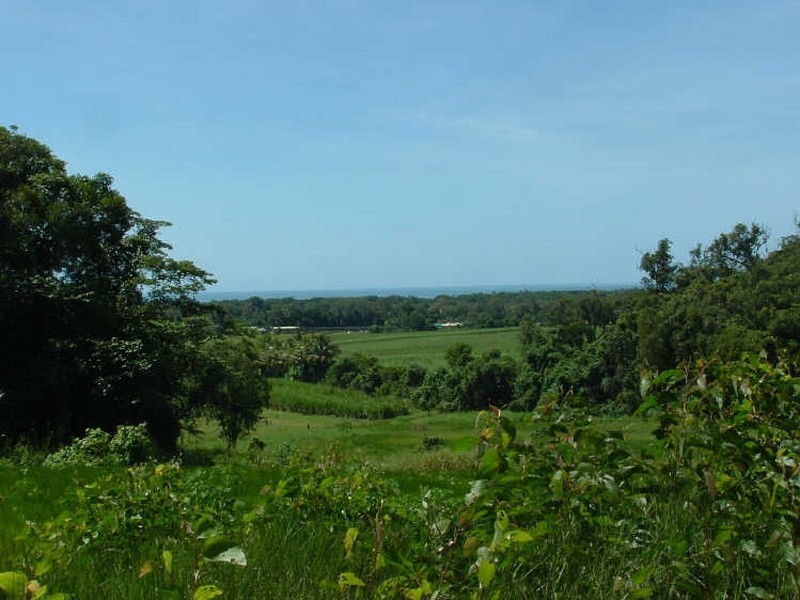 Cape Tribulation QLD 4873