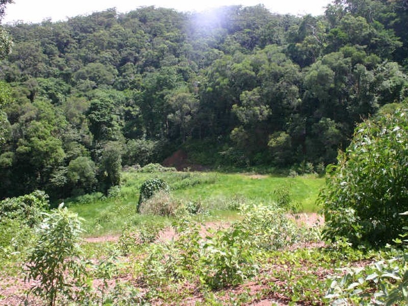 Cape Tribulation QLD 4873