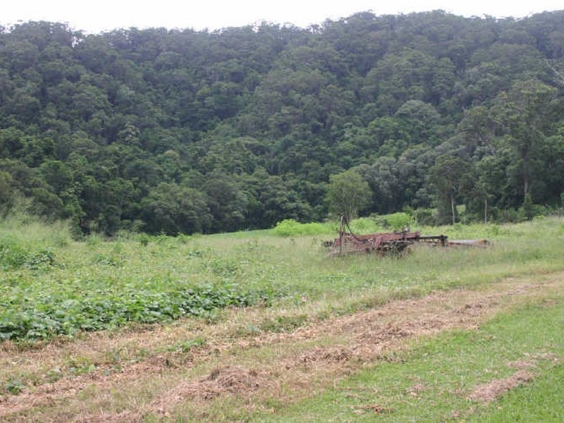 Cape Tribulation QLD 4873