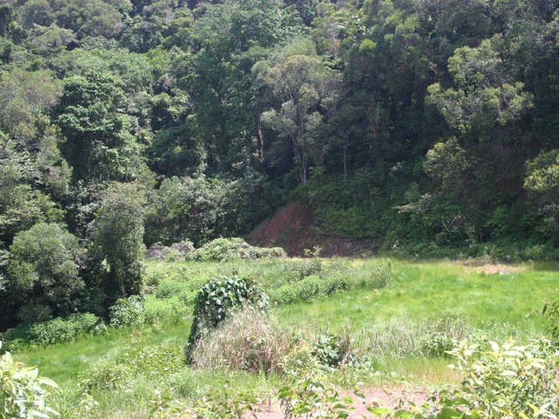 Cape Tribulation QLD 4873