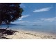 Cape Tribulation QLD 4873