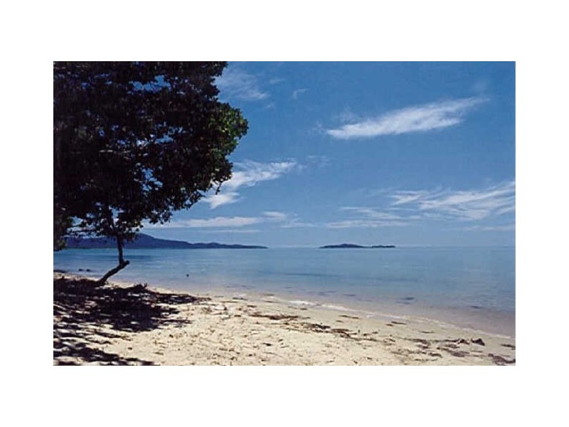 Cape Tribulation QLD 4873