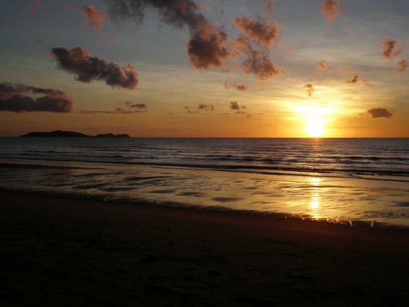 Cape Tribulation QLD 4873