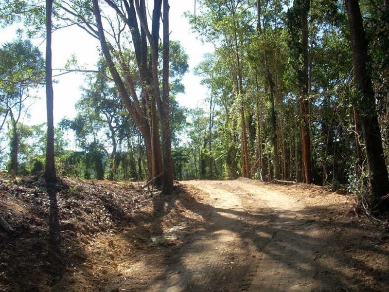 Miallo QLD 4873