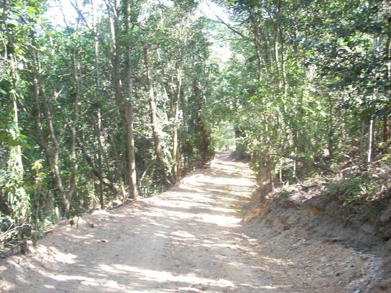 Miallo QLD 4873