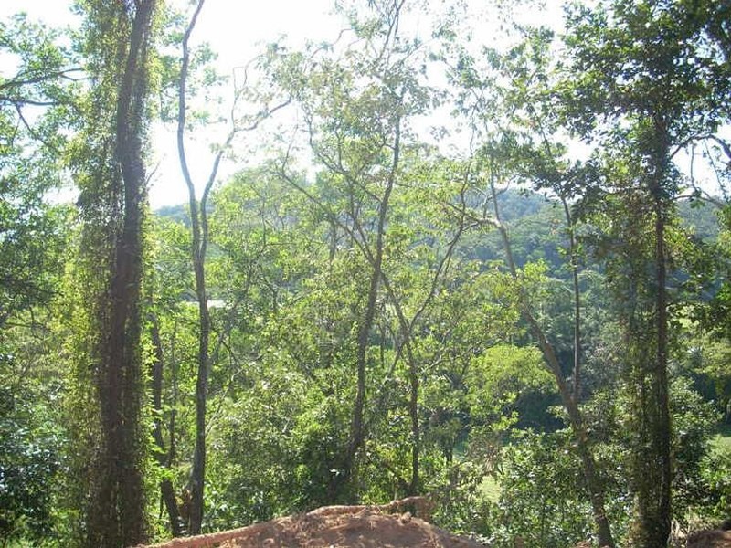 Miallo QLD 4873