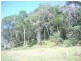 Miallo QLD 4873
