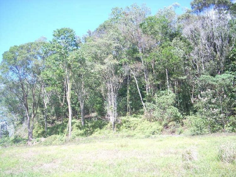Miallo QLD 4873