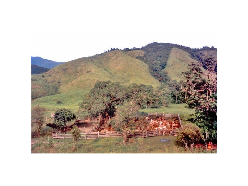 Lots 2, 5, 6 & 9/ Douglas Creek Rd, Daintree QLD 4873