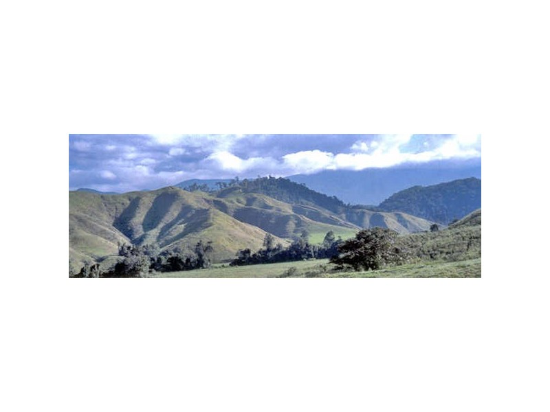 Lots 2, 5, 6 & 9/ Douglas Creek Rd, Daintree QLD 4873