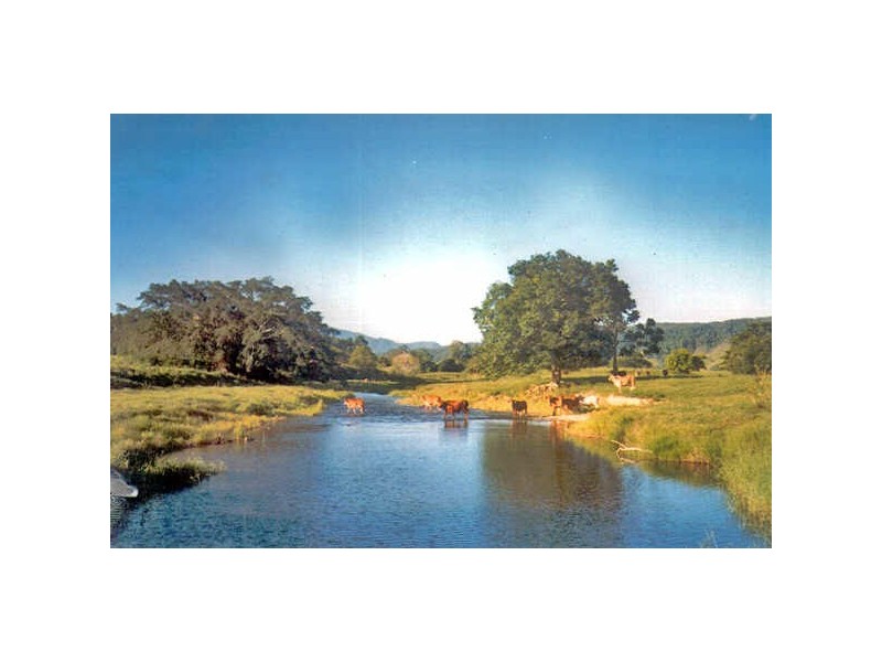 Lots 2, 5, 6 & 9/ Douglas Creek Rd, Daintree QLD 4873