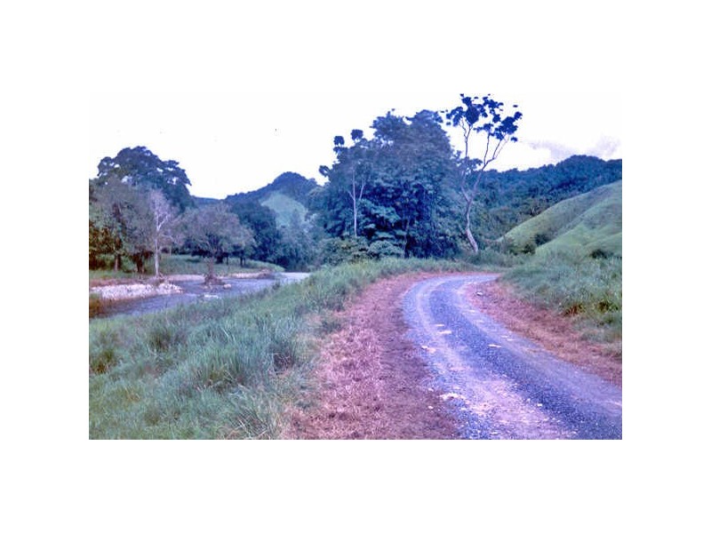 Lots 2, 5, 6 & 9/ Douglas Creek Rd, Daintree QLD 4873