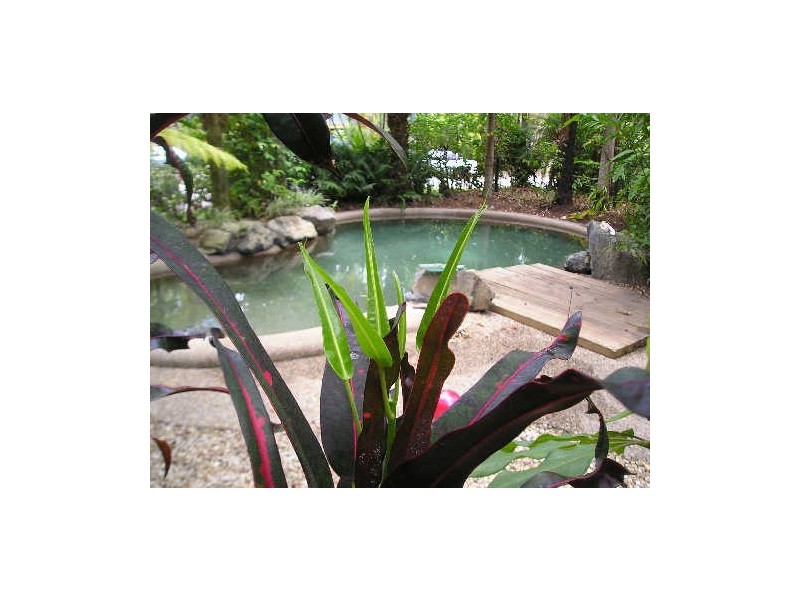 2/11 Tropic Court, Green Gables, Port Douglas QLD 4877