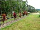 Julatten QLD 4871
