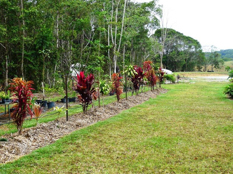 Julatten QLD 4871