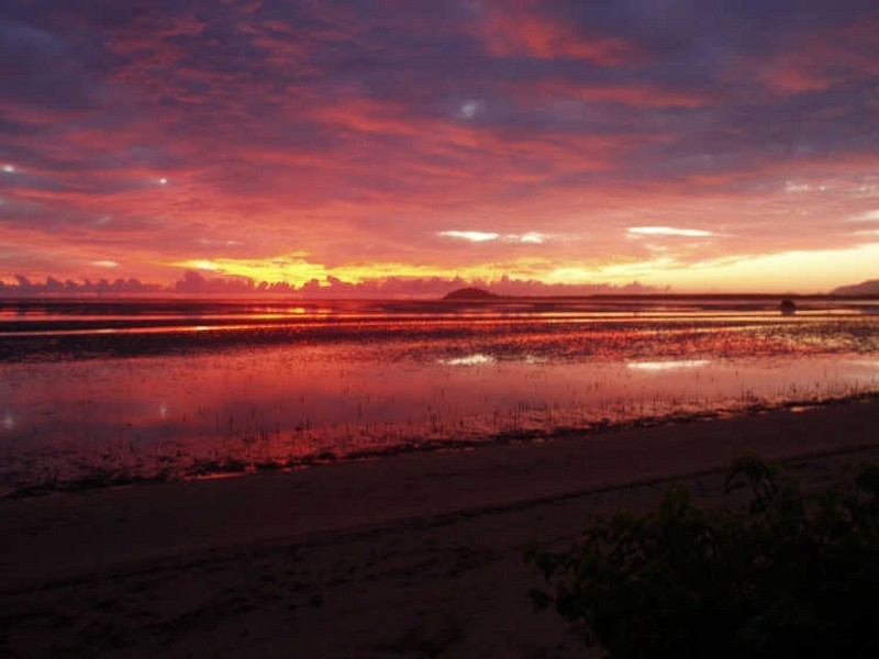 Cooya Beach QLD 4873