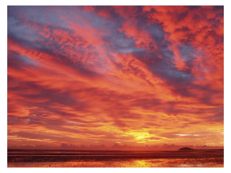 Cooya Beach QLD 4873